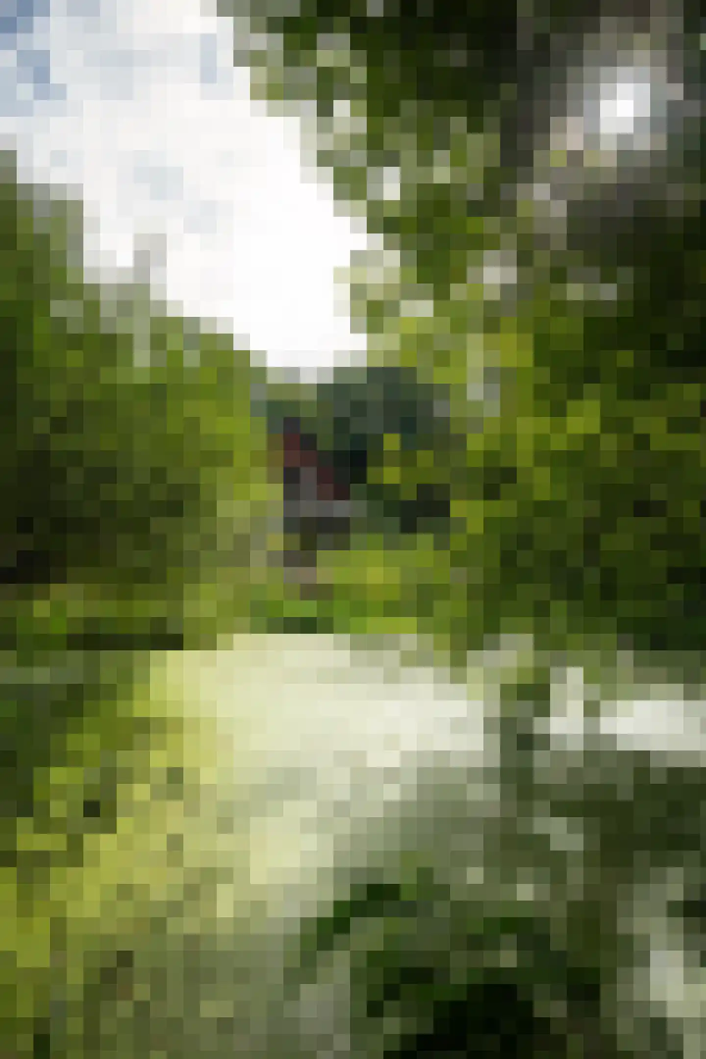 Vennenlaan 4 Doetinchem thumbnail 32