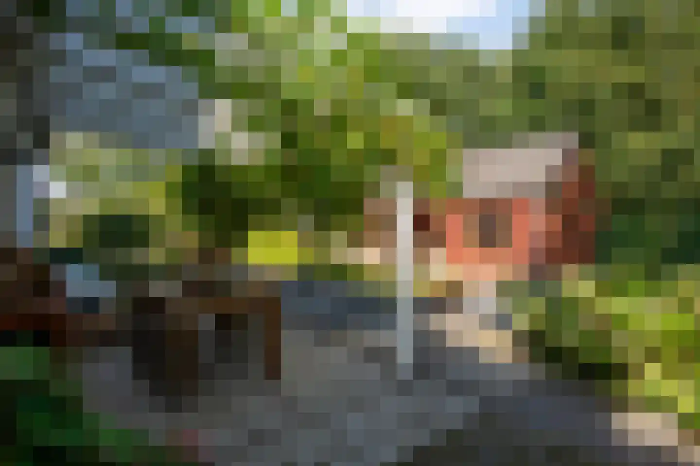 Vennenlaan 4 Doetinchem thumbnail 38