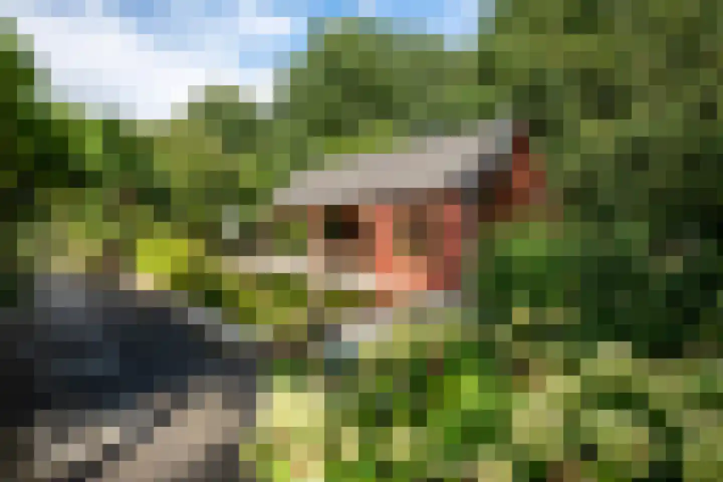 Vennenlaan 4 Doetinchem thumbnail 39