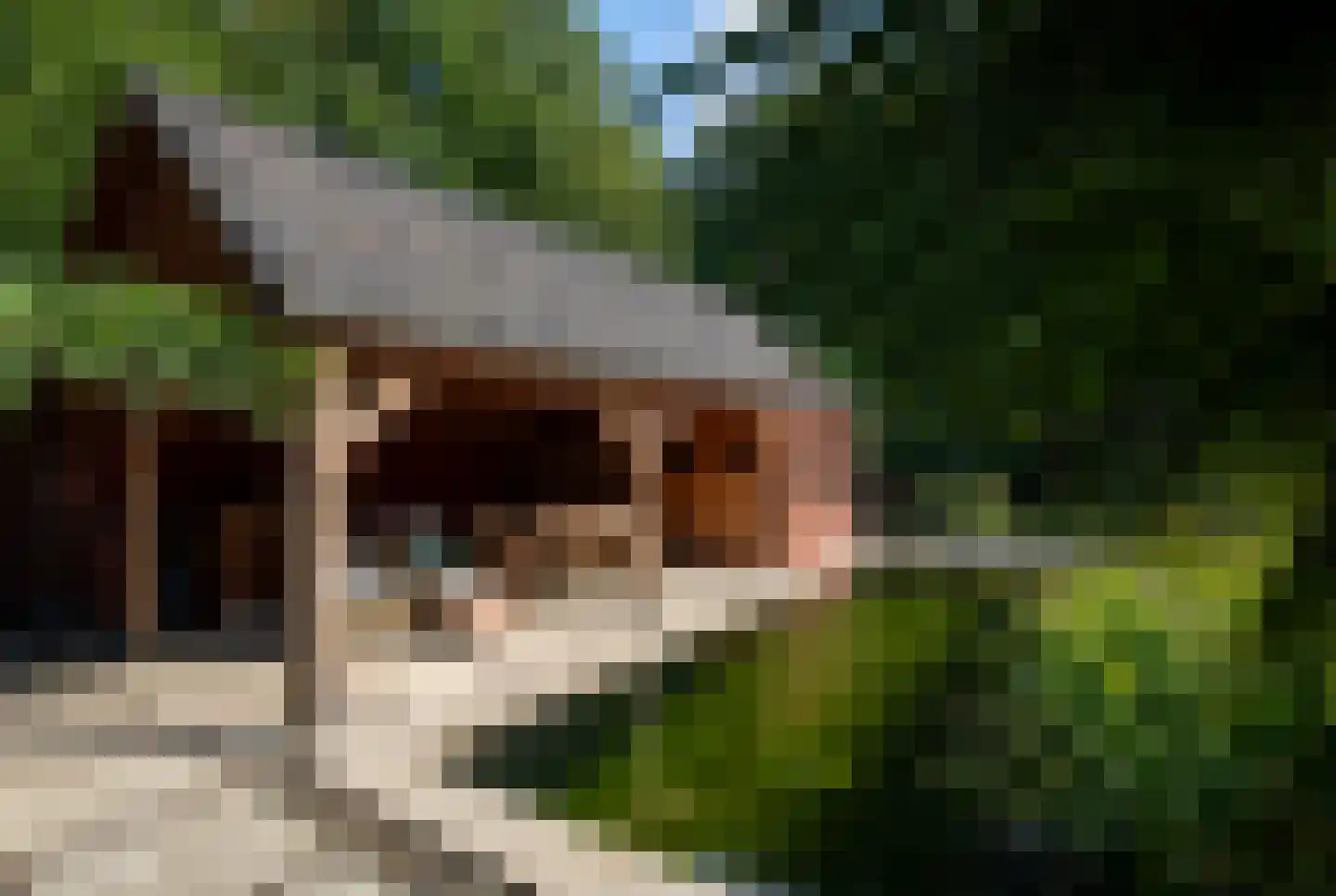 Vennenlaan 4 Doetinchem thumbnail 40