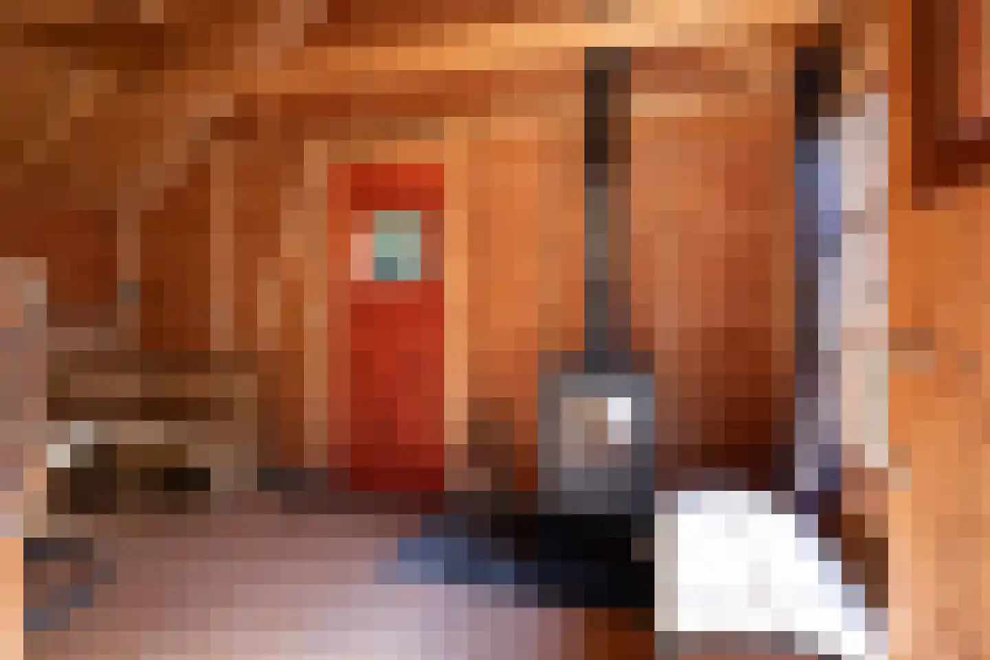 Vennenlaan 4 Doetinchem thumbnail 41