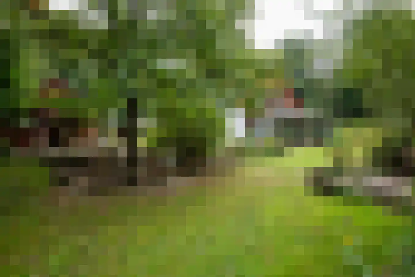 Vennenlaan 4 Doetinchem thumbnail 43