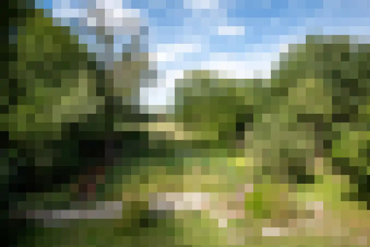 Vennenlaan 4 Doetinchem thumbnail 44