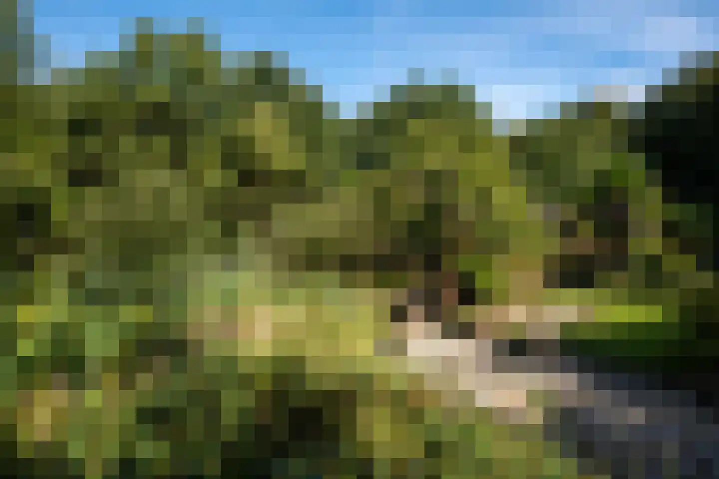 Vennenlaan 4 Doetinchem thumbnail 45