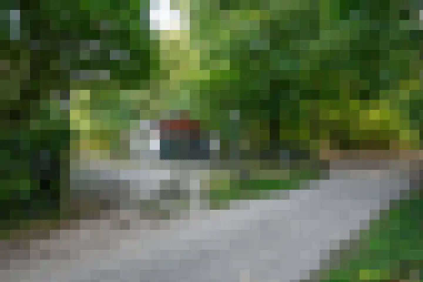 Vennenlaan 4 Doetinchem thumbnail 56