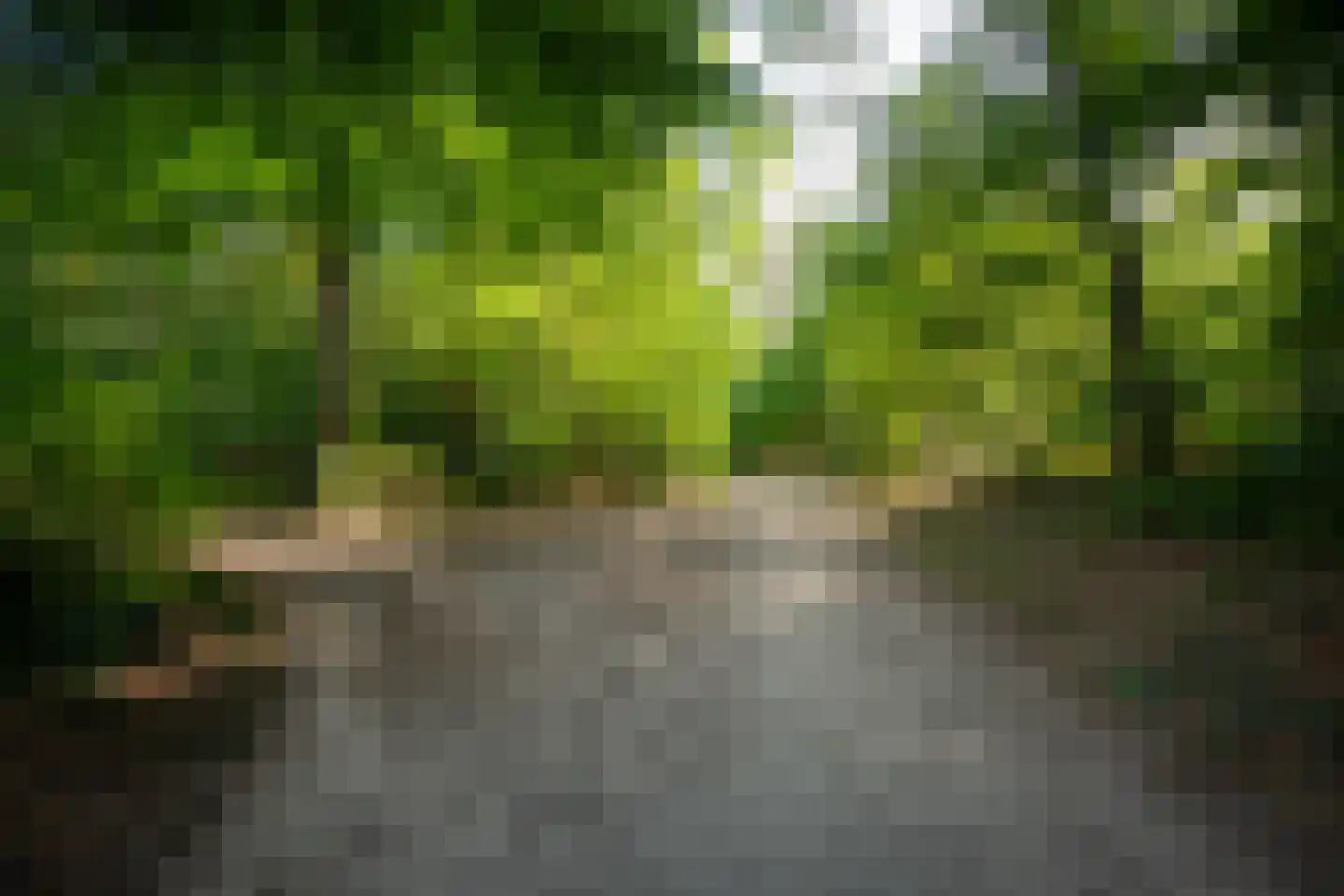 Vennenlaan 4 Doetinchem thumbnail 57