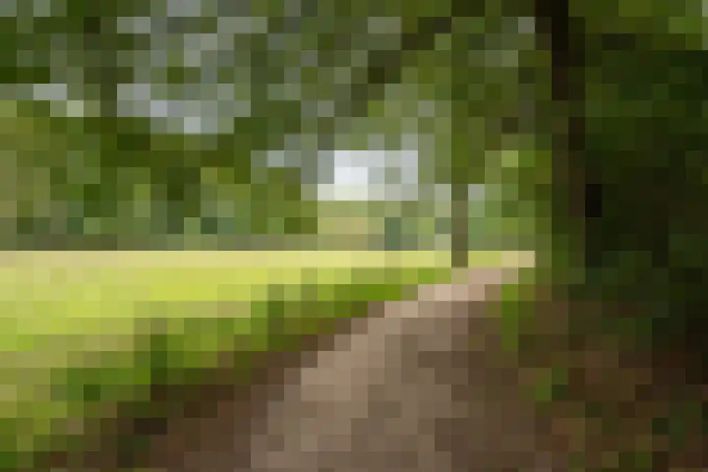 Vennenlaan 4 Doetinchem thumbnail 58