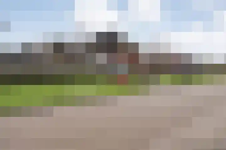 Vennenland 31 Nieuwleusen thumbnail 11