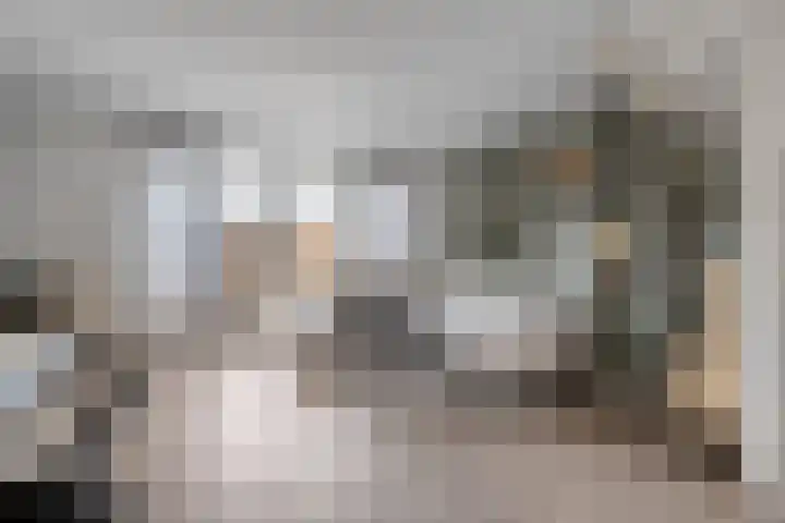 Vennenland 31 Nieuwleusen thumbnail 15