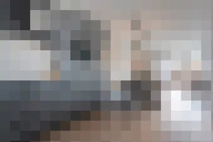 Vennenland 31 Nieuwleusen thumbnail 18
