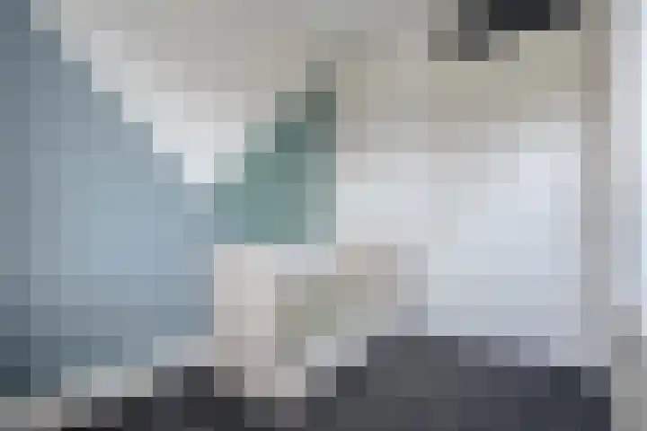 Vennenland 31 Nieuwleusen thumbnail 26