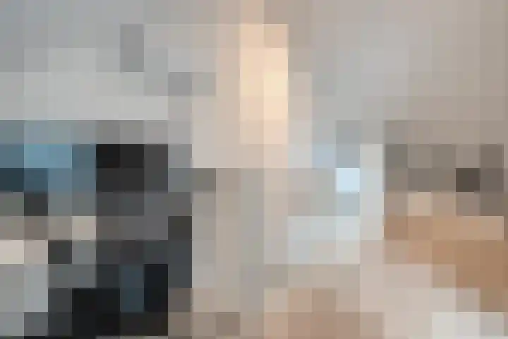 Vennenland 31 Nieuwleusen thumbnail 32
