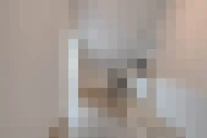 Vennenland 31 Nieuwleusen thumbnail 33