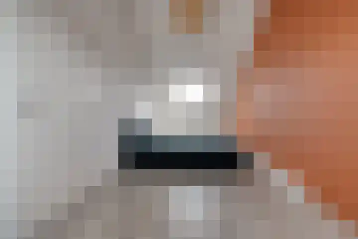 Vennenland 31 Nieuwleusen thumbnail 34