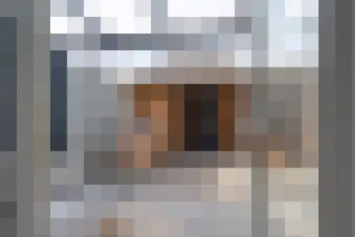 Vennenland 31 Nieuwleusen thumbnail 37