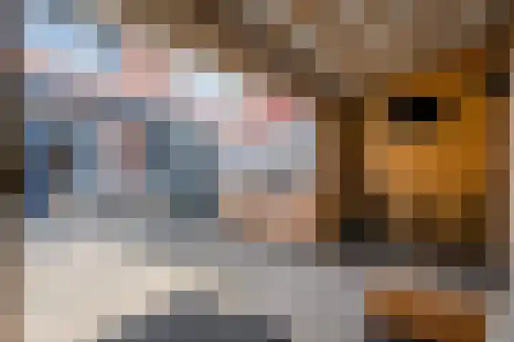 Vennenland 31 Nieuwleusen thumbnail 41
