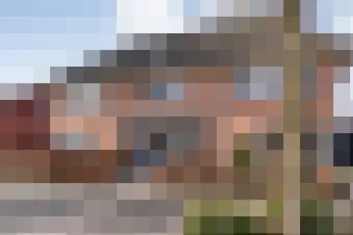 Vennenland 31 Nieuwleusen thumbnail 5