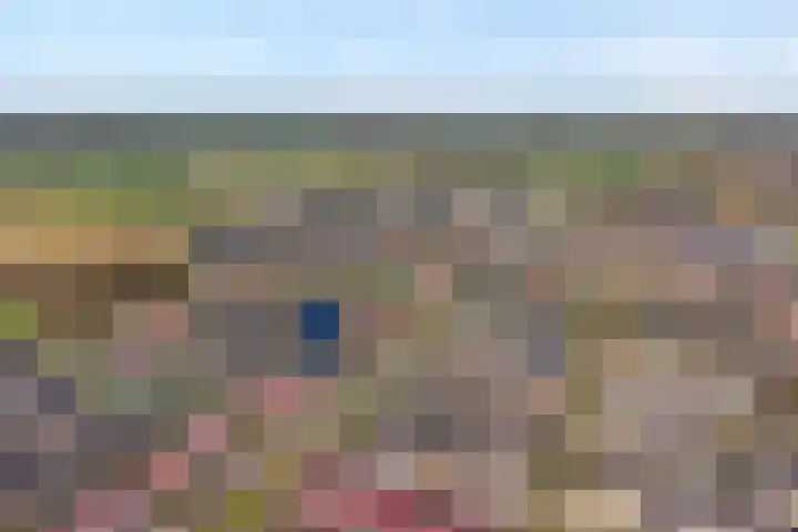 Vennenland 31 Nieuwleusen thumbnail 8