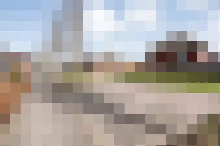 Vennenland 31 Nieuwleusen thumbnail 9