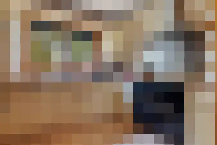 Vennenweg 1 Meeden thumbnail 16