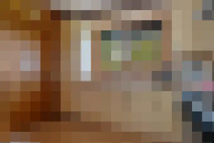 Vennenweg 1 Meeden thumbnail 17