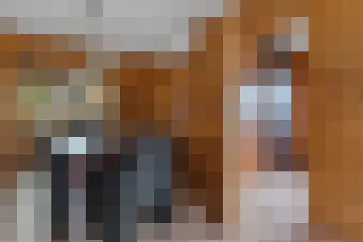 Vennenweg 1 Meeden thumbnail 19