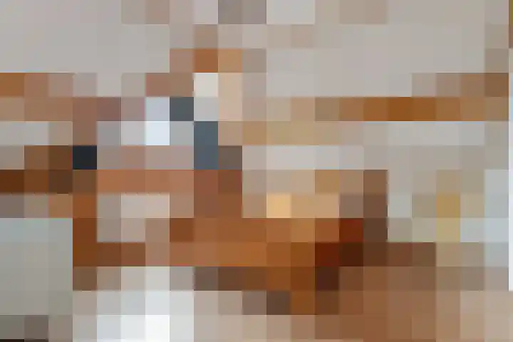 Vennenweg 1 Meeden thumbnail 22