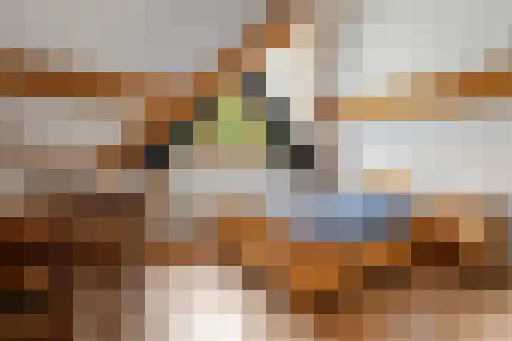 Vennenweg 1 Meeden thumbnail 24