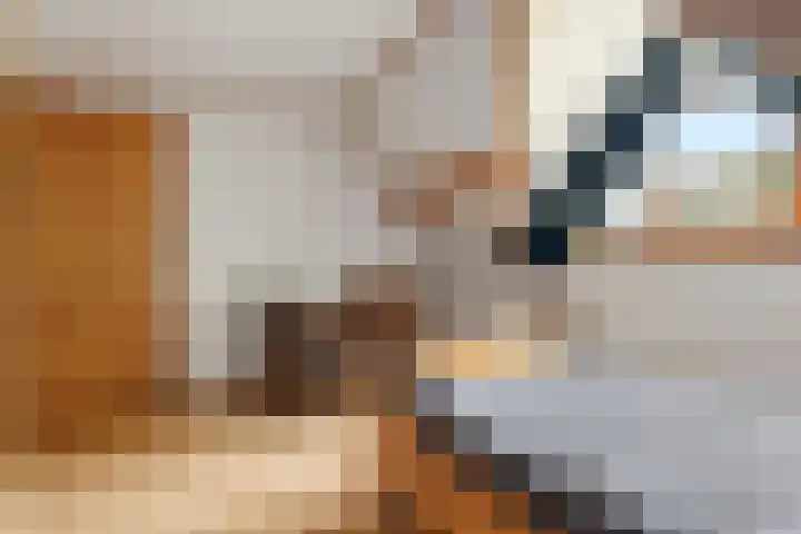Vennenweg 1 Meeden thumbnail 25