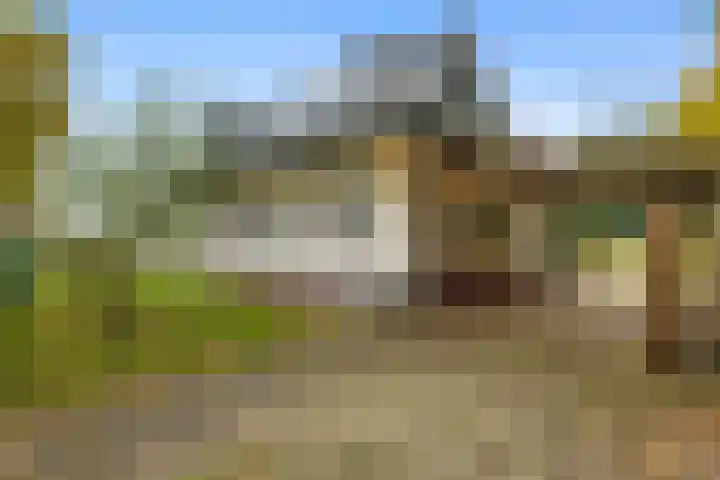 Vennenweg 1 Meeden thumbnail 32