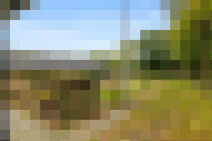 Vennenweg 1 Meeden thumbnail 34