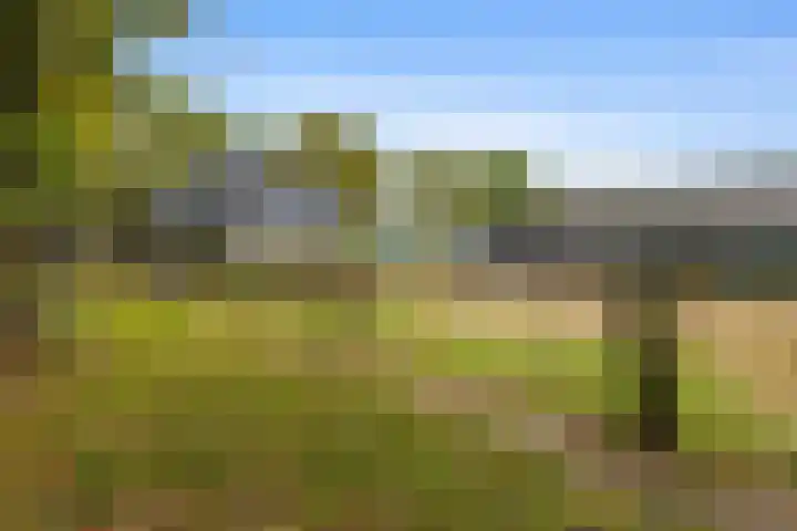 Vennenweg 1 Meeden thumbnail 35