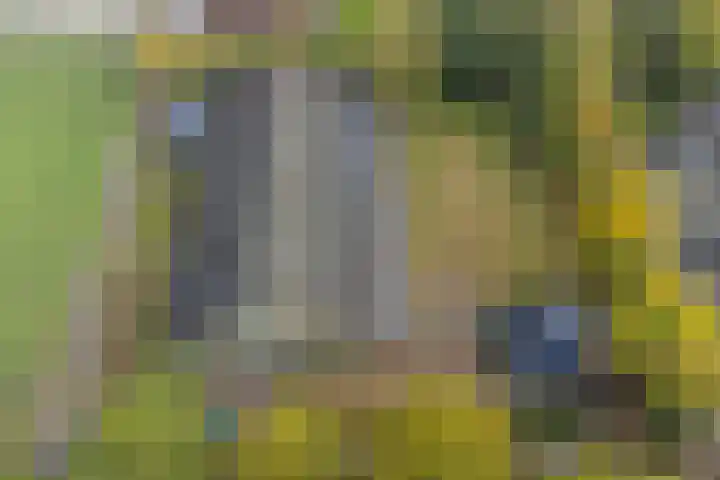 Vennenweg 1 Meeden thumbnail 36