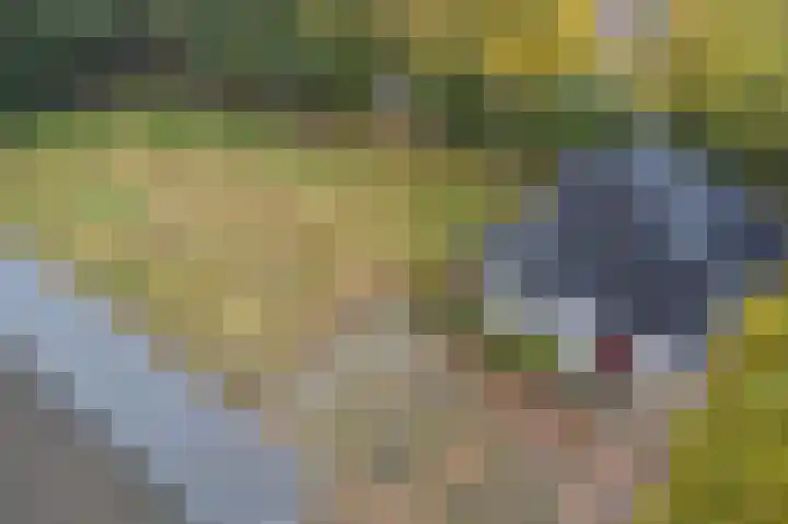 Vennenweg 1 Meeden thumbnail 37