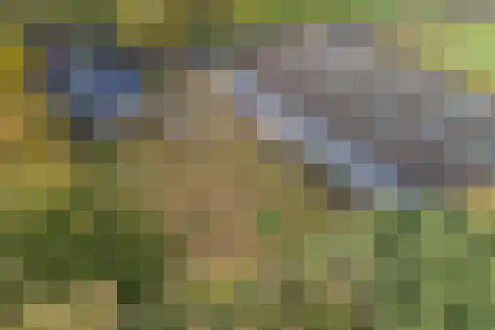 Vennenweg 1 Meeden thumbnail 38