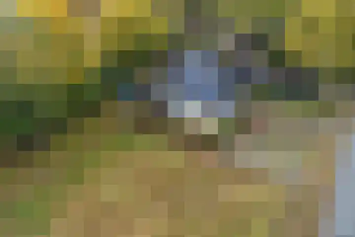Vennenweg 1 Meeden thumbnail 39
