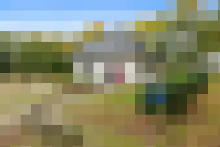 Vennenweg 1 Meeden thumbnail 41
