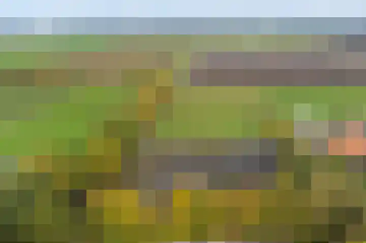 Vennenweg 1 Meeden thumbnail 43
