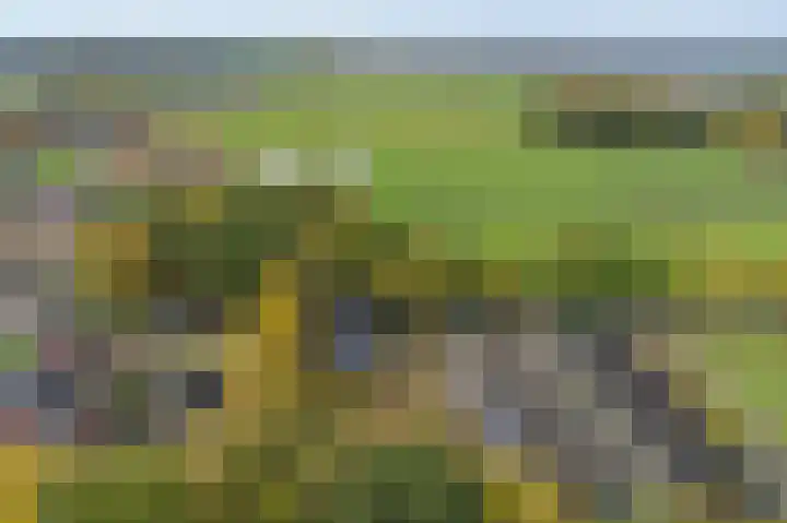 Vennenweg 1 Meeden thumbnail 44