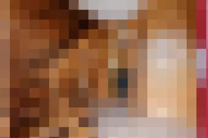 Vennenweg 1 Meeden thumbnail 7