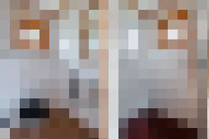 Vennenweg 1 Meeden thumbnail 9