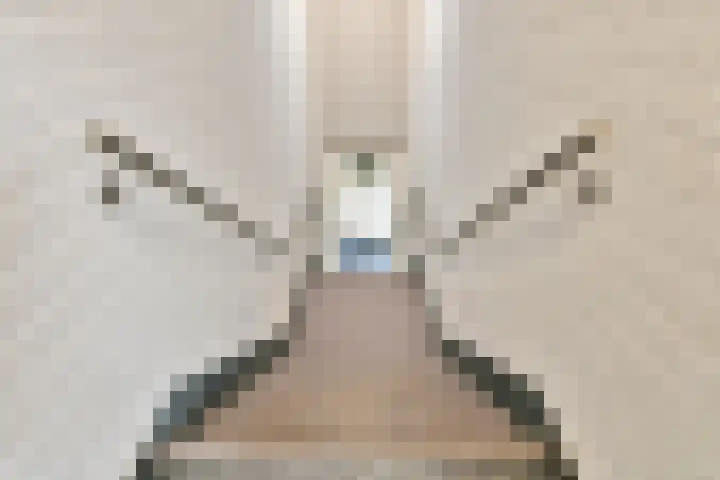Venneperhof 10 Nieuw-Vennep thumbnail 7