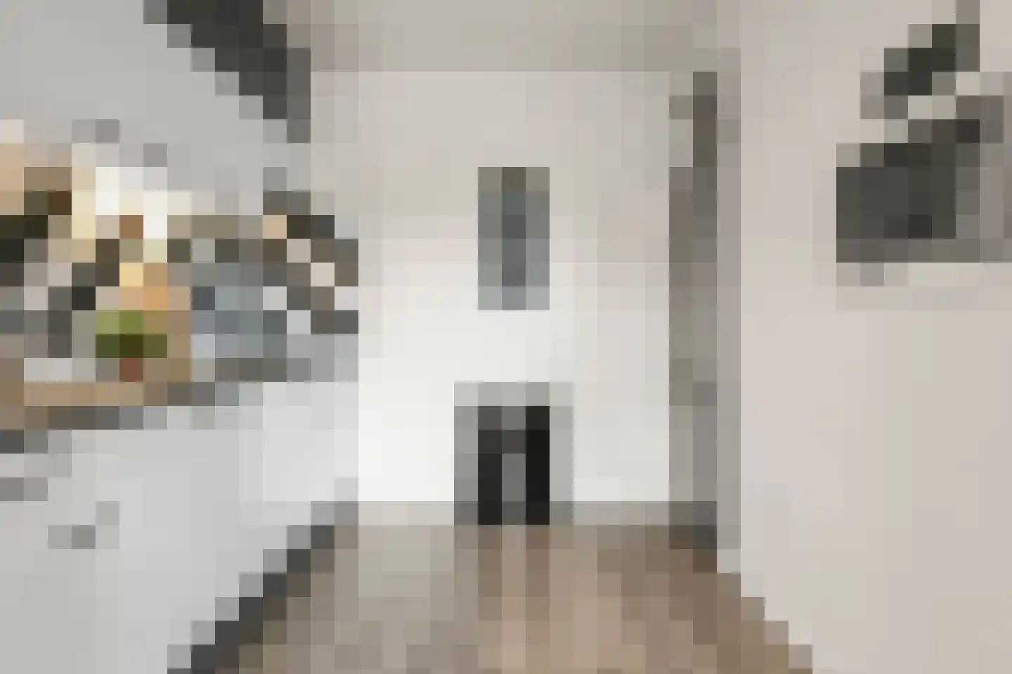 Venneperhof 24 Nieuw-Vennep thumbnail 21