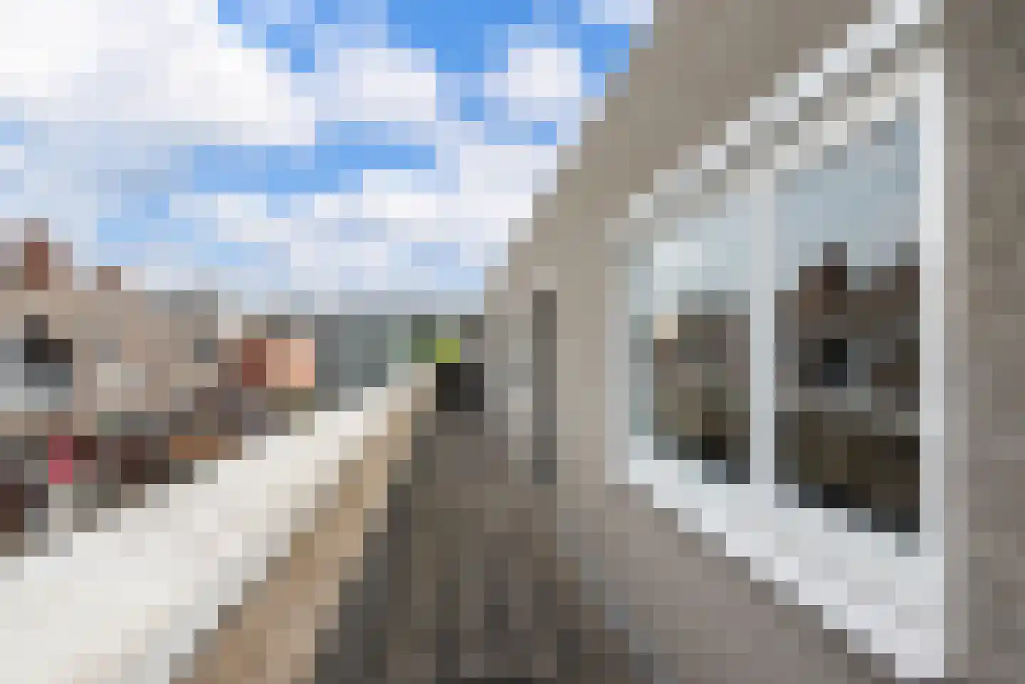 Venneperhof 28 Nieuw-Vennep thumbnail 22