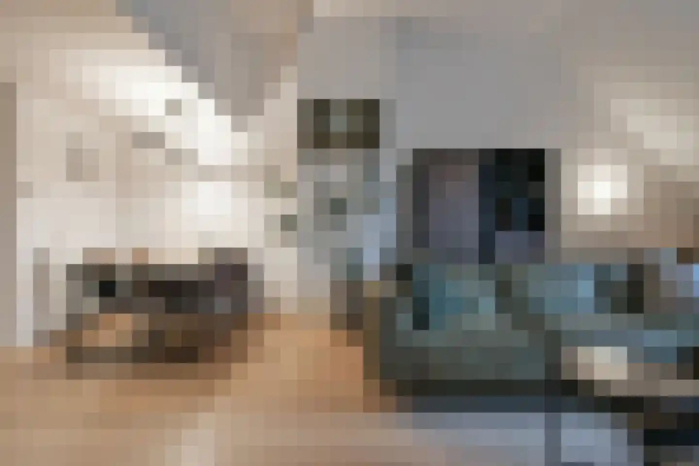 Venneperhof 75 Nieuw-Vennep thumbnail 18