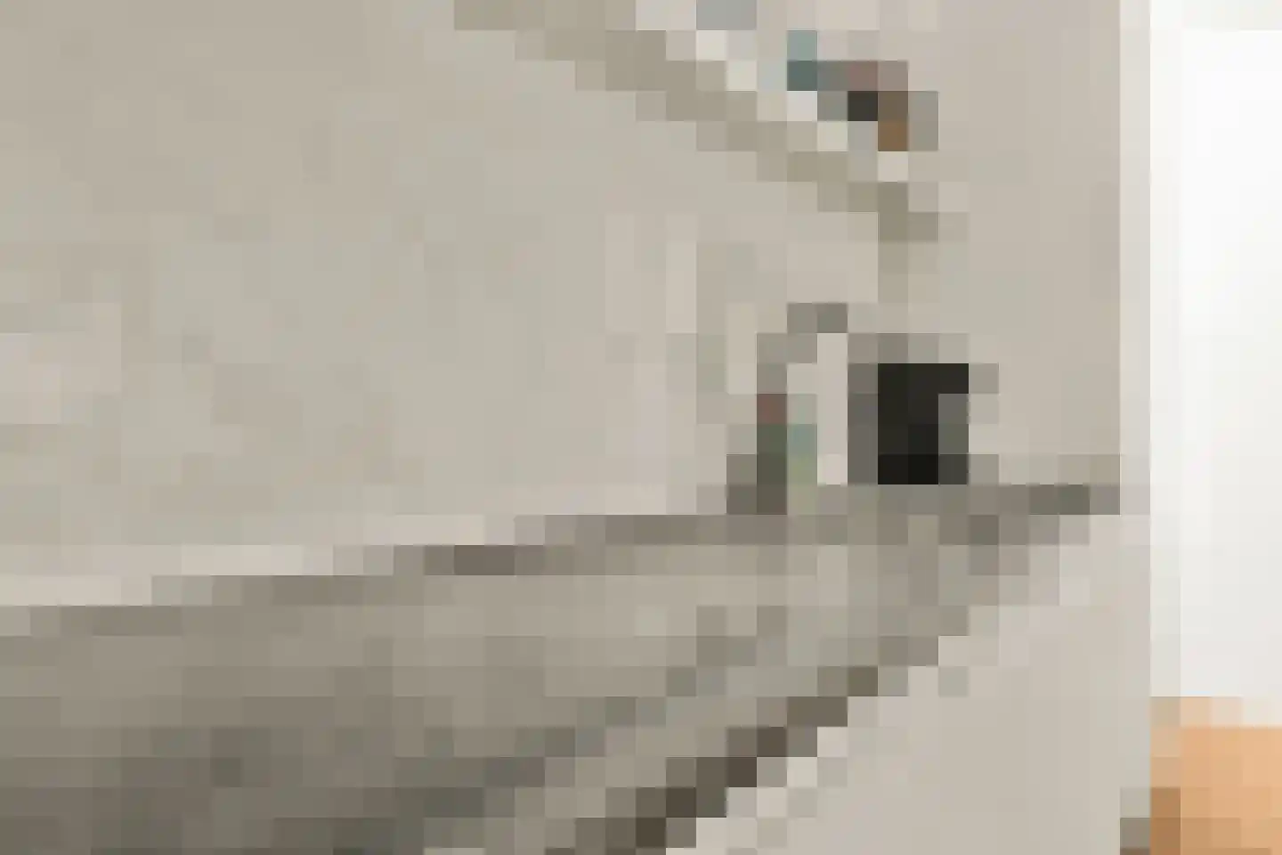 Venneperhof 8 C Nieuw-Vennep thumbnail 17