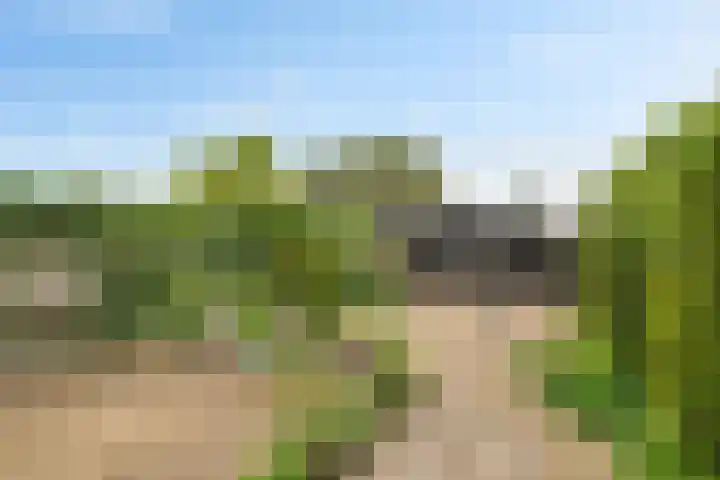 Venneperweg 1221 Beinsdorp thumbnail 17