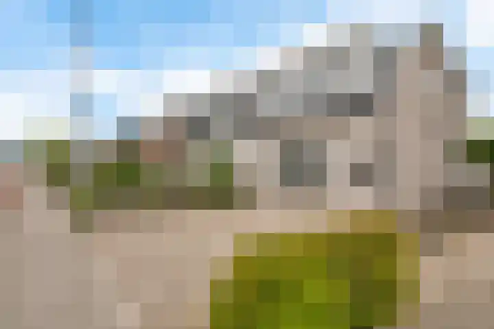 Venneperweg 1221 Beinsdorp thumbnail 22