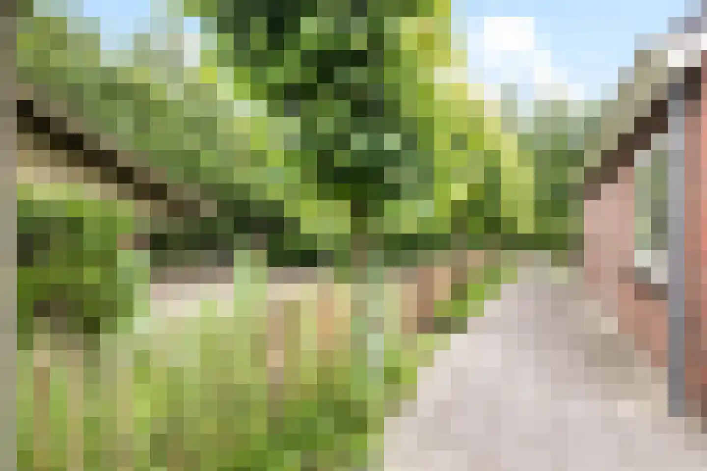 Venneperweg 863 Nieuw-Vennep thumbnail 49