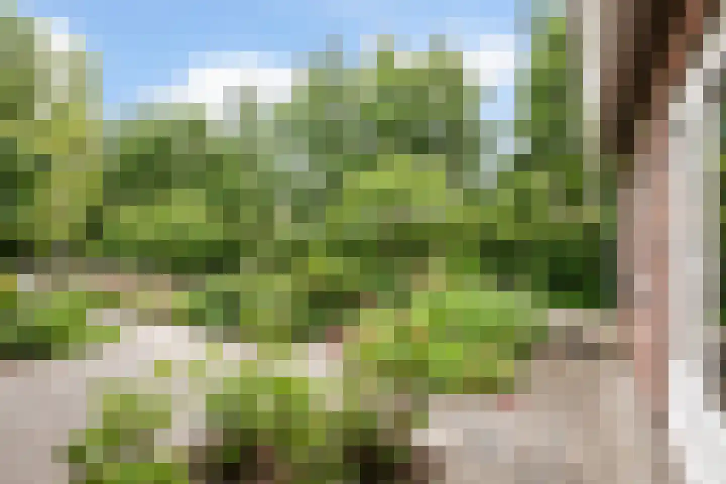 Venneperweg 863 Nieuw-Vennep thumbnail 55